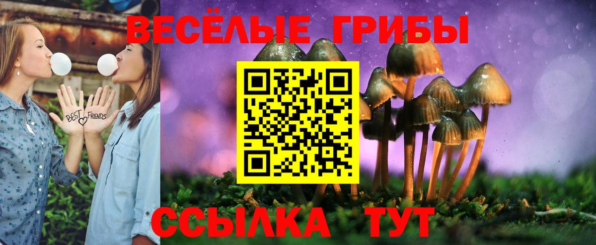 Чита  наркотики  Вход с VPN  Псилоцибиновые грибы Psilocybine cubensis 